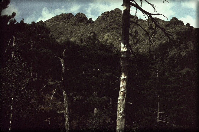 n_20  D147 Steig zum Cinto 1986.jpg